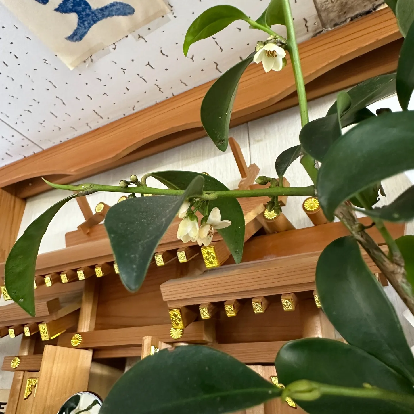 本日も早朝からバタバタ🤗