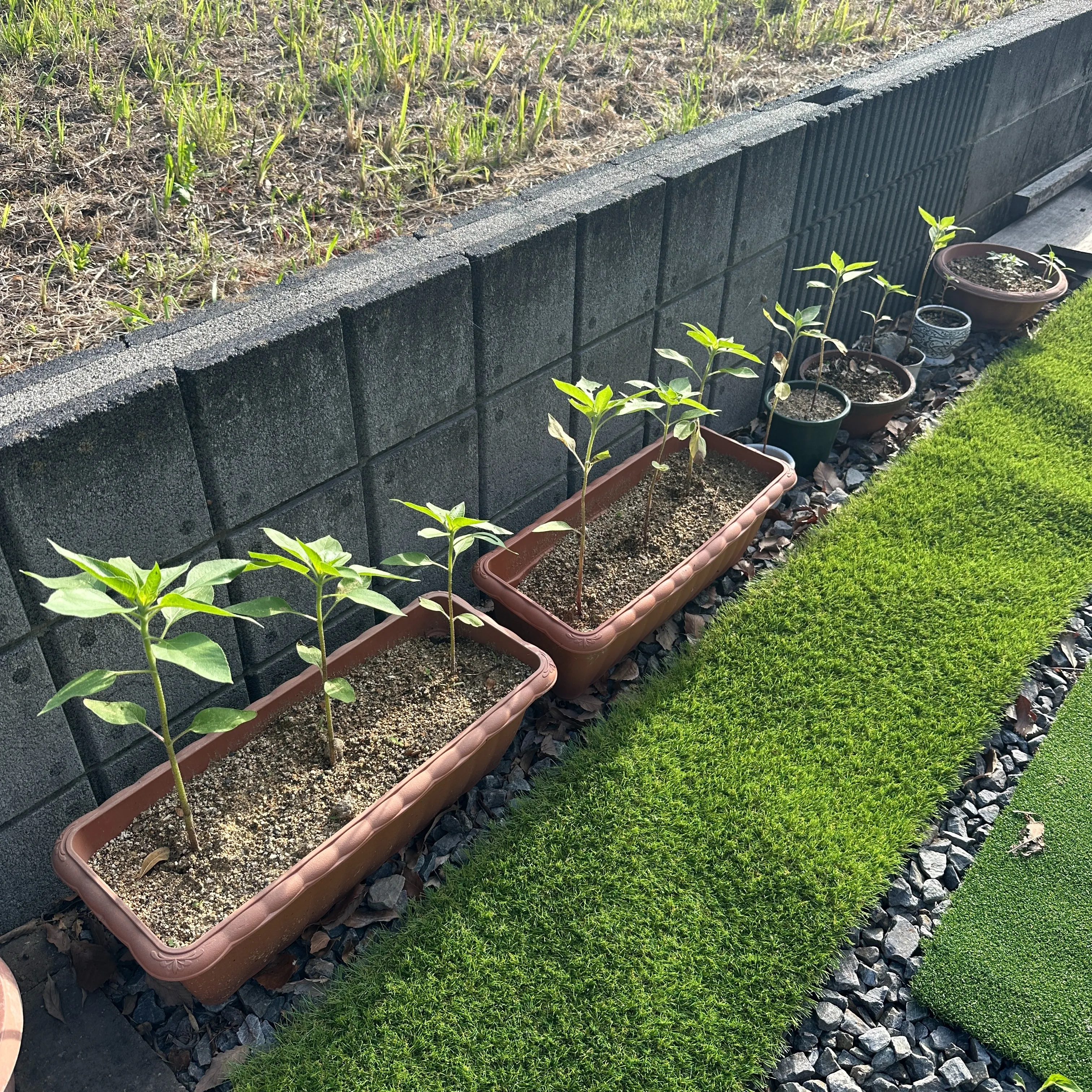 早朝から絶好調のマツジン社長でございますよっ✌️😁